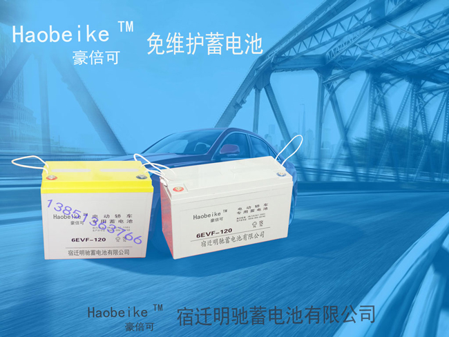 6EVF120免維護(hù)蓄電池 Haobeike 豪倍