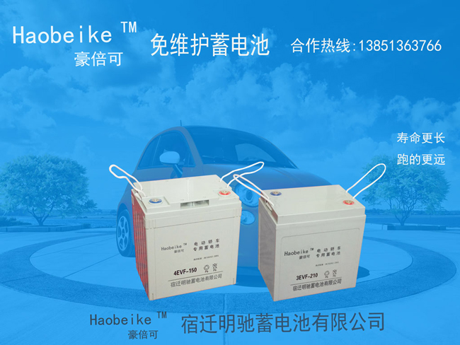 3EVF210免維護(hù)蓄電池廠(chǎng)家 4EVF1