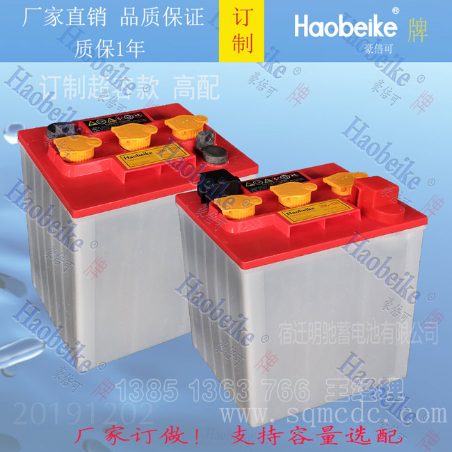 瀏覽車(chē)蓄電池觀(guān)光車(chē)電瓶巡邏